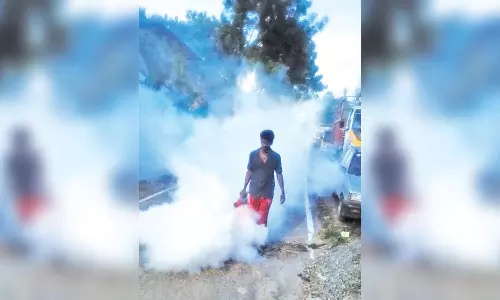 டெங்கு கொசு ஒழிப்பு பணி தீவிரம்