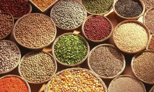 தானியங்கள், விதைகள் போதிய அளவு இருப்பில் உள்ளது - கலெக்டர் தகவல்