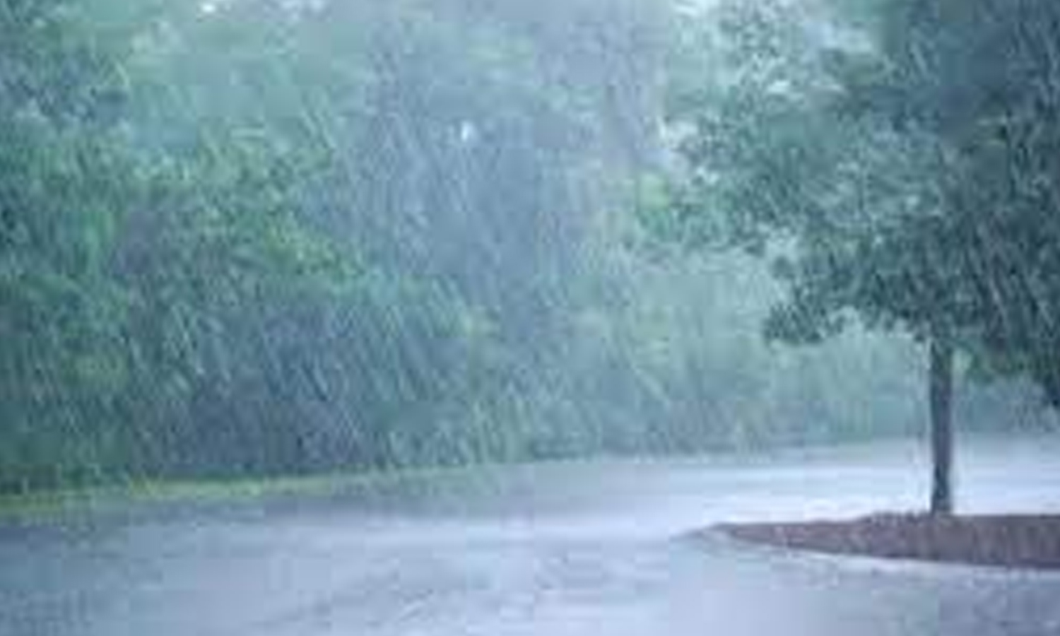 பெரம்பலூர் மாவட்டத்தில் பரவலாக கனமழை - லப்பைகுடிகாட்டில் 77 மி.மீ. கொட்டியது