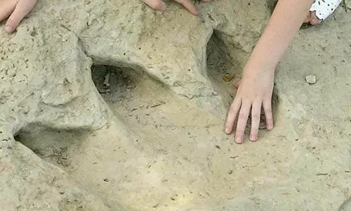 பிரேசிலில் புதிய டைனோசர் இன கால்தடம் கண்டுபிடிப்பு