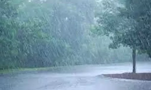 பெரம்பலூர் மாவட்டத்தில் பரவலாக கனமழை - லப்பைகுடிகாட்டில் 77 மி.மீ. கொட்டியது