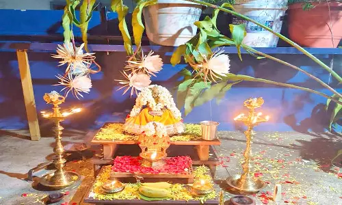 வருடத்திற்கு ஒரு முறை பூக்கும் பிரம்ம கமலம் பூ