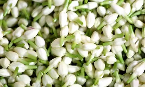 பரமத்திவேலூரில் குண்டுமல்லிகை பூ கிலோ ரூ.2 ஆயிரத்திற்கு விற்பனை