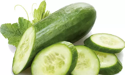 குளிர்காலத்தில் வெள்ளரிக்காய் சாப்பிடலாமா?