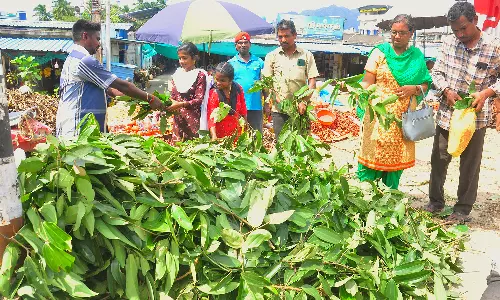 கார்த்திகை தீபத்திருவிழாவையொட்டி குமரியில் பனை ஓலை குருத்துகள், திரளி இலை விற்பனை தீவிரம்
