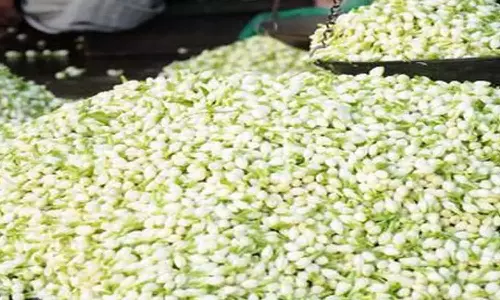 நெல்லையில் இன்று மல்லிகை பூ கிலோ ரூ.1,500-க்கு விற்பனை