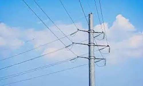 மின்கம்பி மீது விழுந்த மரத்தை அகற்றிய தீயணைப்பு வீரர்கள்