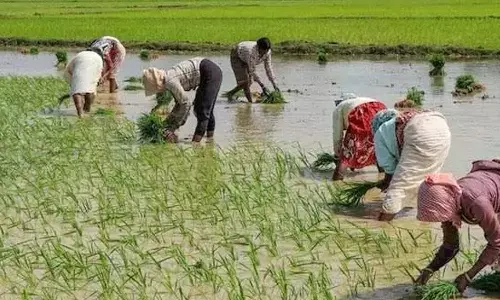 பயிர் நிதி உதவி வழங்க தெலுங்கானா அரசுக்கு தடை