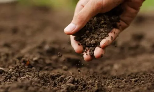 விவசாயிகள் மண் பரிசோதனை செய்து பயன் பெறலாம்-உதவி இயக்குனர் தகவல்