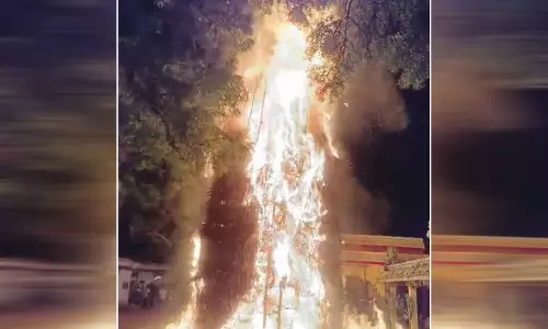 உடன்குடி செட்டியாபத்தில் 50 அடி உயர முழு பனை மரத்தில் சொக்கப்பனை கொளுத்தும் நிகழ்ச்சி