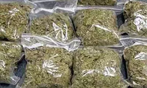 கஞ்சா விற்ற வட மாநிலத்தவர் கைது