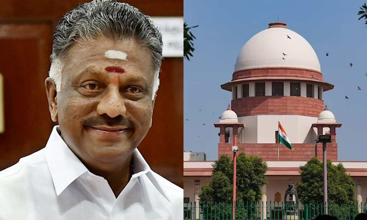 ஓ.பன்னீர்செல்வத்தின் மேல்முறையீடு மனு மீதான விசாரணை அடுத்த வாரத்திற்கு தள்ளிவைப்பு