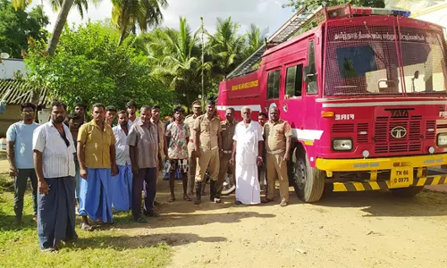 ஓமலூர் அருகே தேனீக்கள் கொட்டியதில் 9 பேர் காயம்