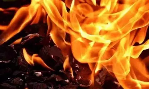 ஆட்டுப்பட்டியில் தீ பற்றி 8 ஆடுகள் கருகியது