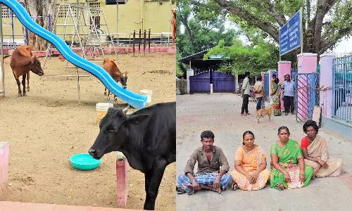 சாலைகளில் சுற்றித்திரிந்த மாடுகள் சிறுவர் பூங்காவில் அடைப்பு- உரிமையாளர்கள் போராட்டம்
