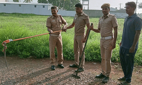 வீட்டில் கட்டு விரியன் பாம்பு பிடிப்பட்டது