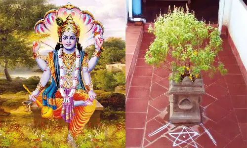 துளசி பிறந்த கதை