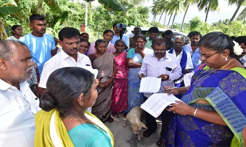 இணையவழி பட்டா வழங்குவதற்கானபணிகளை கலெக்டர் ஆய்வு செய்தார்