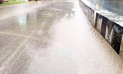 திருப்பத்தூரில் பலத்த மழை