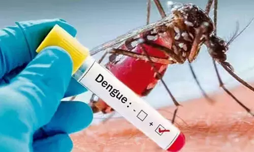 வேலூரில் 8 பேருக்கு டெங்கு பாதிப்பு