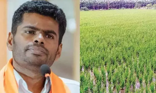 டெல்டாவில் விவசாயம் சார்ந்த தொழிற்சாலை கொண்டு வரப்படும் அண்ணாமலை