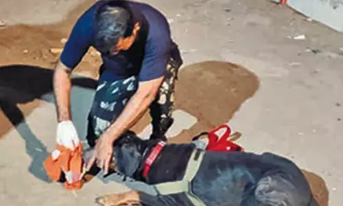 காணாமல் போன சிறுவன்.. களத்தில் இறங்கிய லியோ.. அப்புறம் நடந்த டுவிஸ்ட்