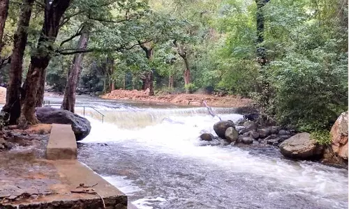 பாபநாசம் அணை நீர்மட்டம் 110 அடியை நெருங்கியது