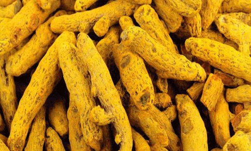 மஞ்சள் குவிண்டால் ரூ.14 ஆயிரத்து 499-க்கு விற்பனை