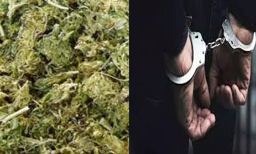 குடியாத்தத்தில் கஞ்சா விற்பனை