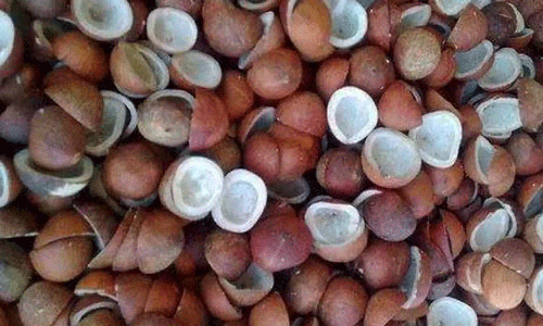 பெருந்துறையில் ரூ.1.26 கோடிக்கு கொப்பரை ஏலம்
