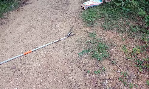 வீட்டின் கழிவறைக்குள் புகுந்த 4 அடி நீள பாம்பு மீட்பு