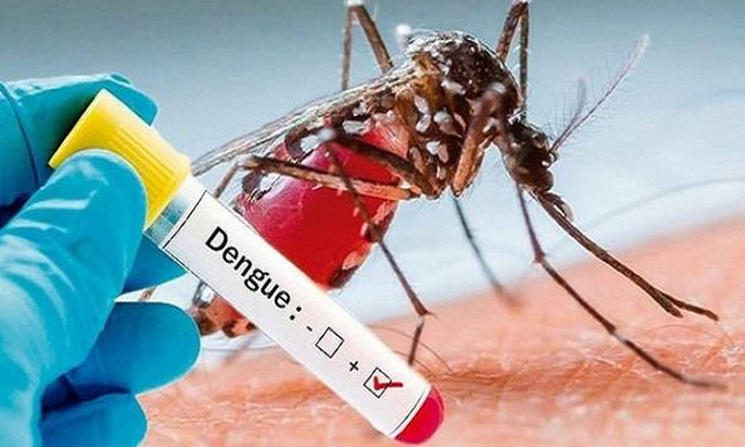 டெங்கு ஏற்படுத்தும் அதிர்ச்சி அலைகள்