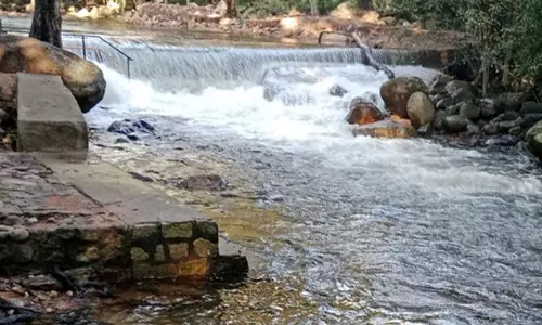 நீர்வரத்து குறைந்தது: களக்காடு தலையணையில் குளிக்க அனுமதி