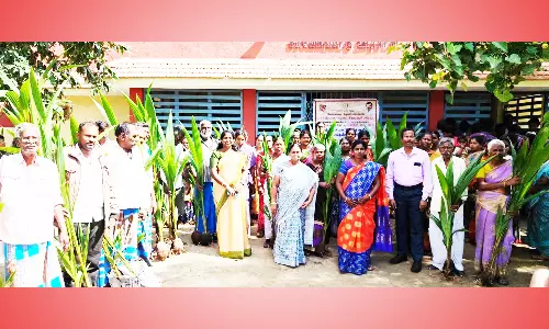 வேளாண்மை துறை சார்பில் விவசாயிகளுக்கு விலையில்லா தென்னங்கன்றுகள்