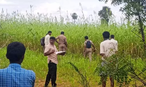 ஊருக்குள் புகுந்த சிறுத்தைகள்: அச்சத்தில் தவிக்கும் பொதுமக்கள்