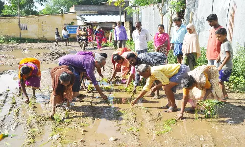 பொதுமக்கள் நாற்று நடும் போராட்டம் - பரபரப்பு