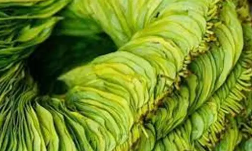 வரத்து அதிகரிப்பால் வெற்றிலை விலை வீழ்ச்சி