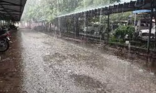 சேலம் மாவட்டத்தில் மழை