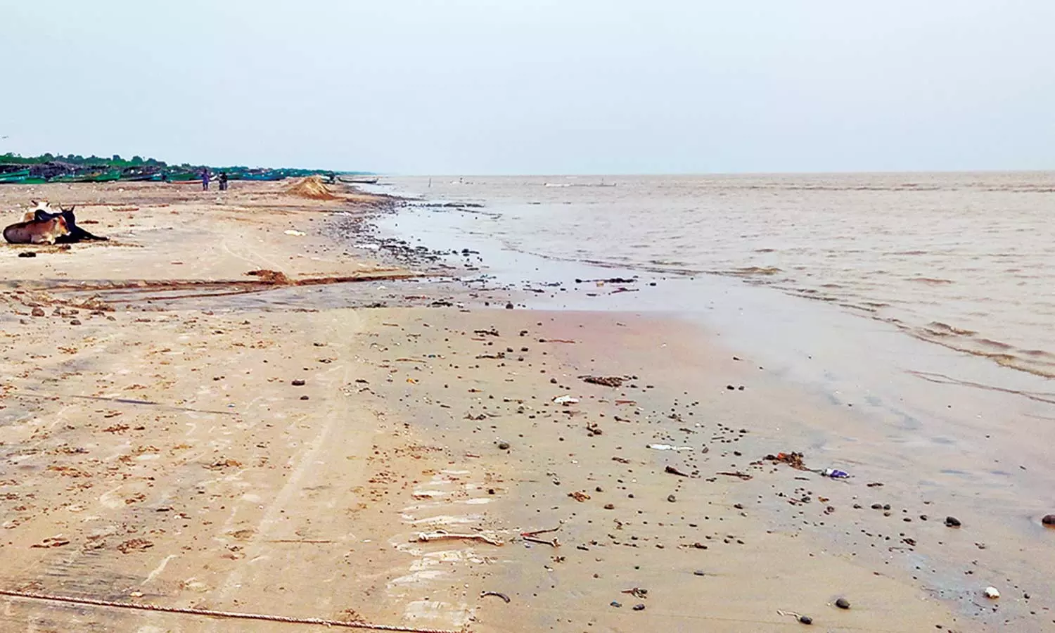 புயல் எதிரொலி: வேதாரண்யத்தில் 100 மீட்டர் தூரம் வரை கடல் உள்வாங்கியது புயல் எதிரொலி: வேதாரண்யத்தில் 100 மீட்டர் தூரம் வரை கடல் உள்வாங்கியது