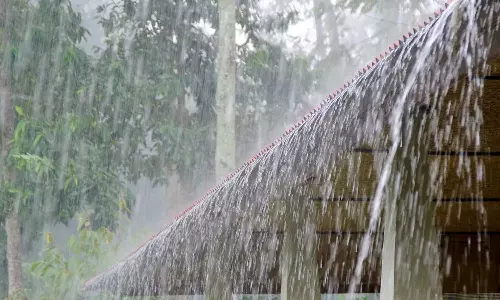 திண்டுக்கல், நெல்லை மாவட்ட பள்ளிகளுக்கு இன்று விடுமுறை