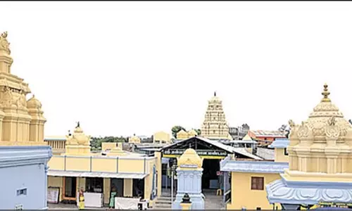 பைரவருக்கு 1,000 கிலோ விபூதி அபிஷேகம்