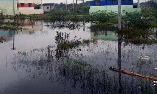 பொன்னேரி அருகே 100 வீடுகளை மழை தண்ணீர் சூழ்ந்தது