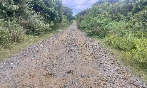 குண்டும், குழியுமான உள்ள சாலையால் பொதுமக்கள் அவதி