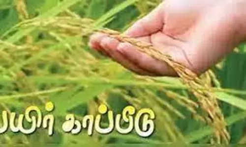 ராபி பருவ தோட்டக்கலைப் பயிர்களுக்கு காப்பீடு செய்ய அழைப்பு
