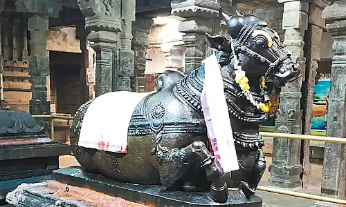 உயிர் பெற்று எழுந்த நந்தி, கோபம் தணிந்த பரமகல்யாணி அம்பாள்