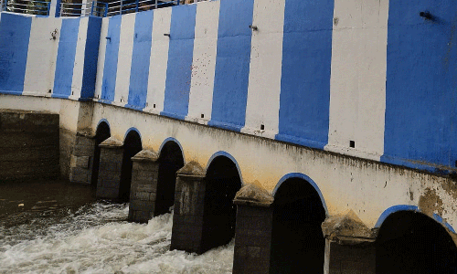 தடப்பள்ளி-அரக்கன் கோட்டை வாய்க்காலில் தண்ணீர் திறப்பு