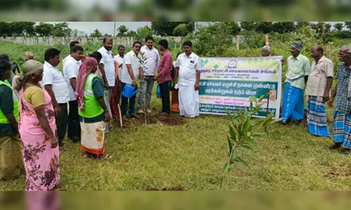 ஊராட்சி செயலாளர்கள் எழுச்சி தினம் மரக்கன்றுகள் நடும் விழா