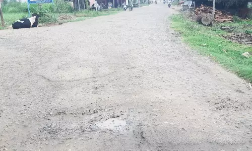 சேதமடைந்த சாலையை சீரமைக்க பொதுமக்கள் கோரிக்கை