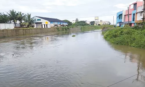 அடையாறு ஆற்றில் வெள்ளப்பெருக்கு: கரையோர மக்களுக்கு எச்சரிக்கை