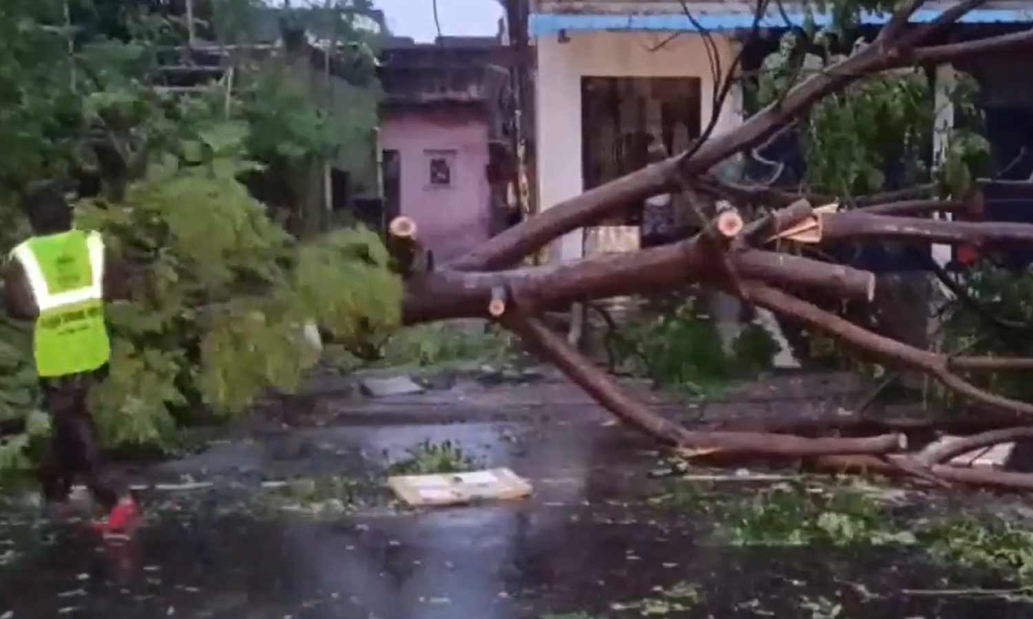 சுழன்றடித்த சூறைக்காற்று: சாலைகளில் வேரோடு சாய்ந்த மரங்கள்